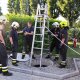 DSC 6584.JPG