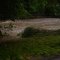Dsc01977