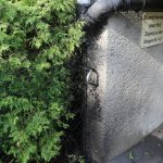 IMG 4235.JPG