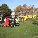 IMG 6349 web