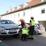 IMG 6386 web