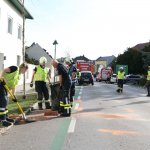 IMG 6410 web