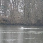 IMG 8478.JPG