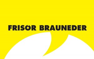 Logo Brauneder