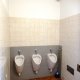 Web2016-07-01 Pissoir