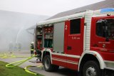 web IMG 3902