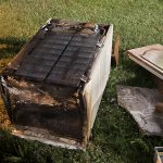 Web IMG 7236