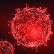 !! Information zu Coronavirus – Pandemie !!